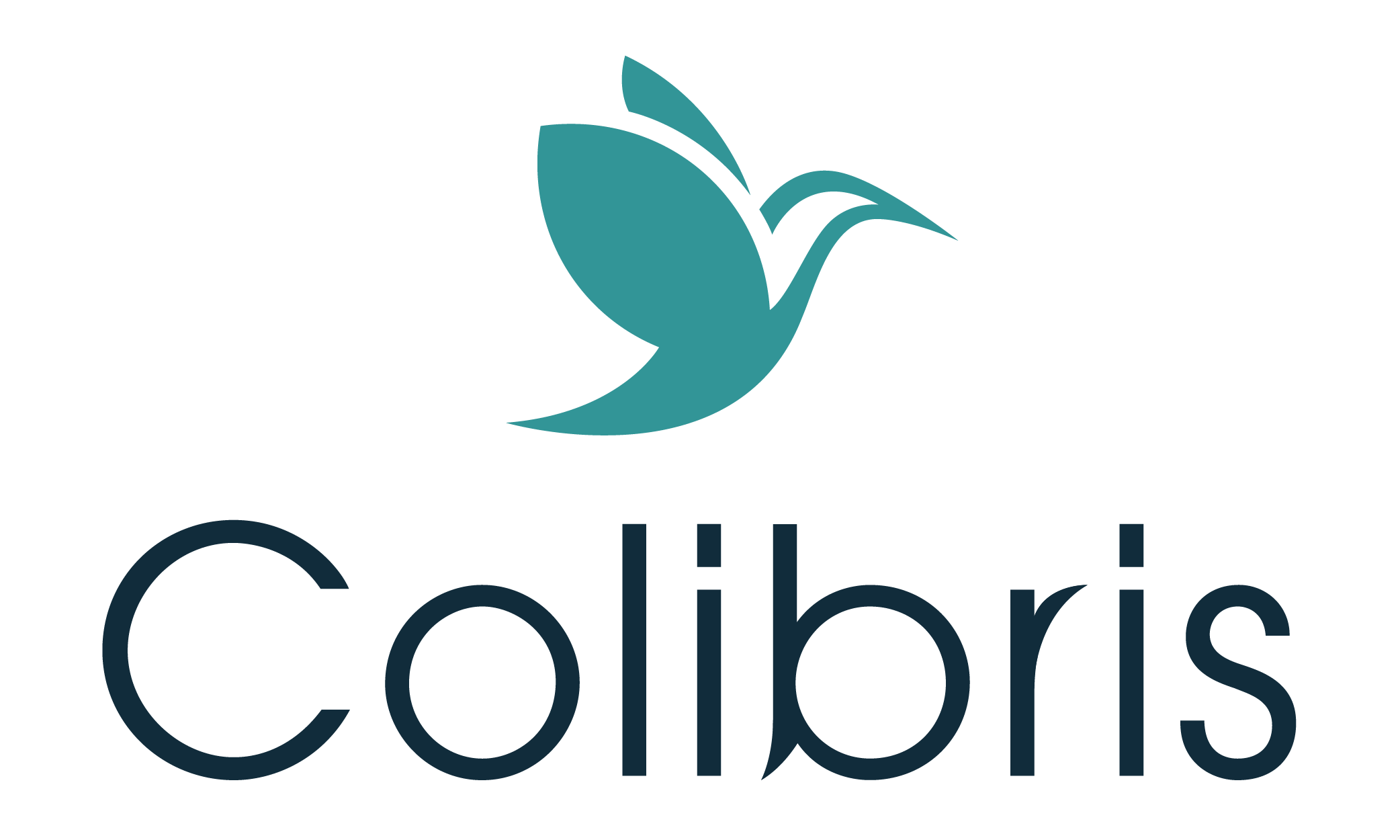 Logo COLIBRIS